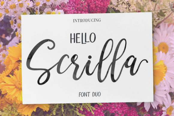 Hello Scrilla Script Font: A Modern Script for Dynamic Digital Campaigns