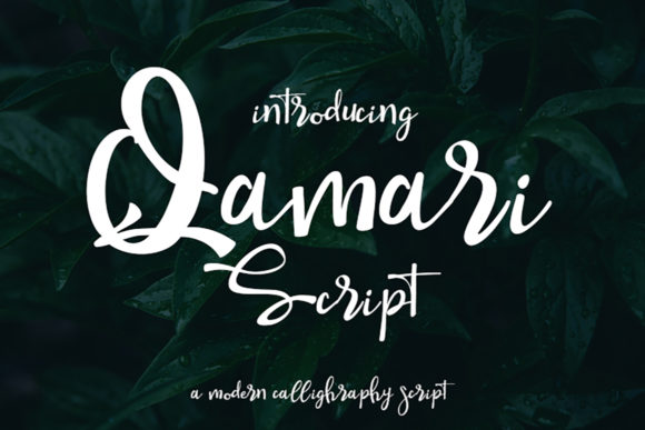 Qamari Script: A Font That Breathes Life Into Your Creations