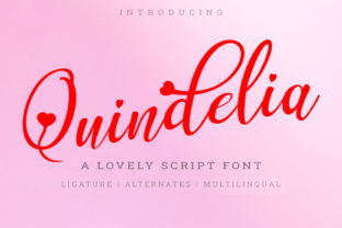Quindelia: The Font That Elevates Your Brand