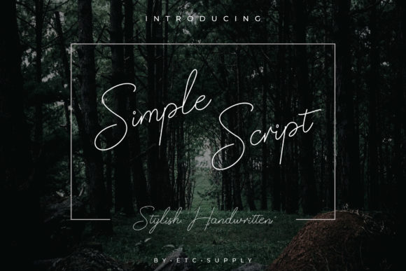 Simple Script: A Versatile Font for Creative Campaigns